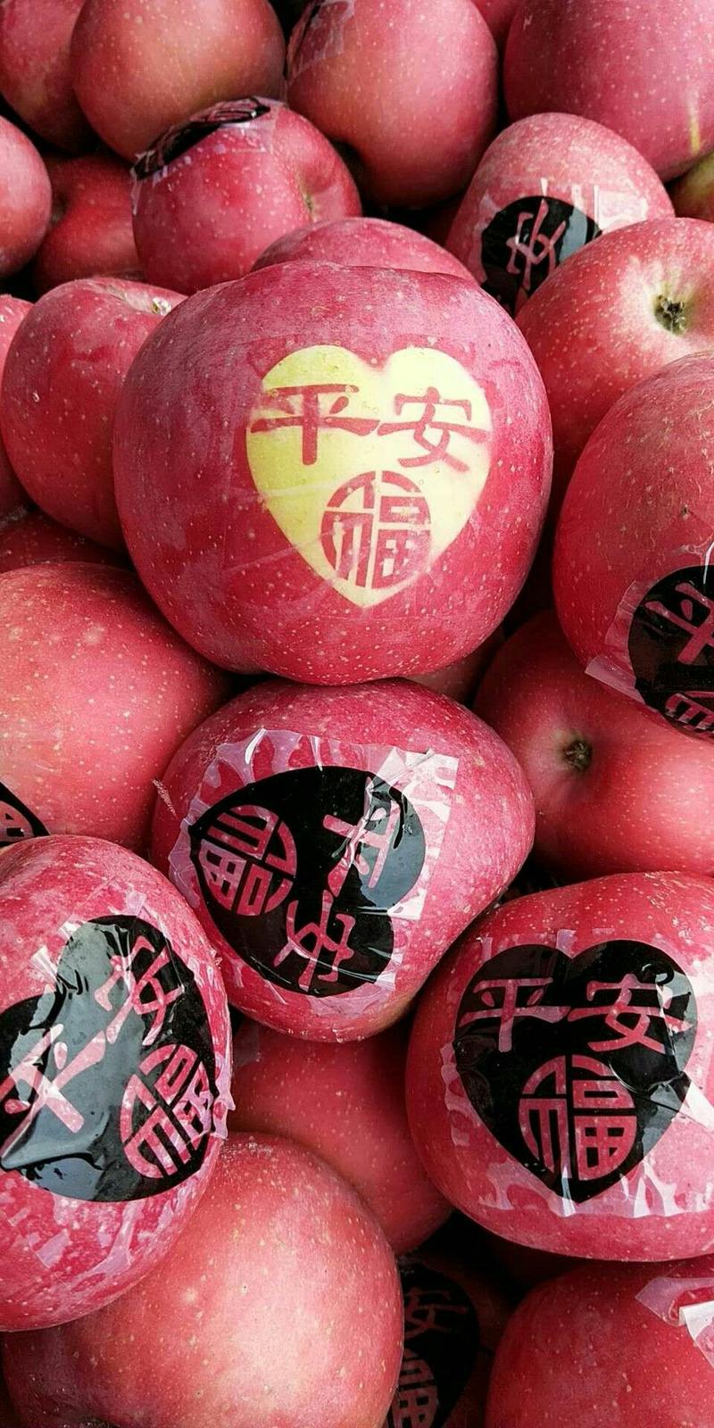 红富士苹果，冷库红富士苹果，产地一手货源保质保量