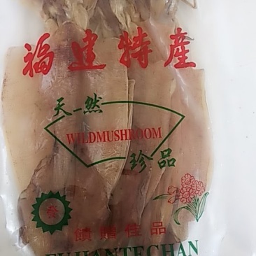 特大鱿鱼