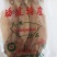 特大鱿鱼