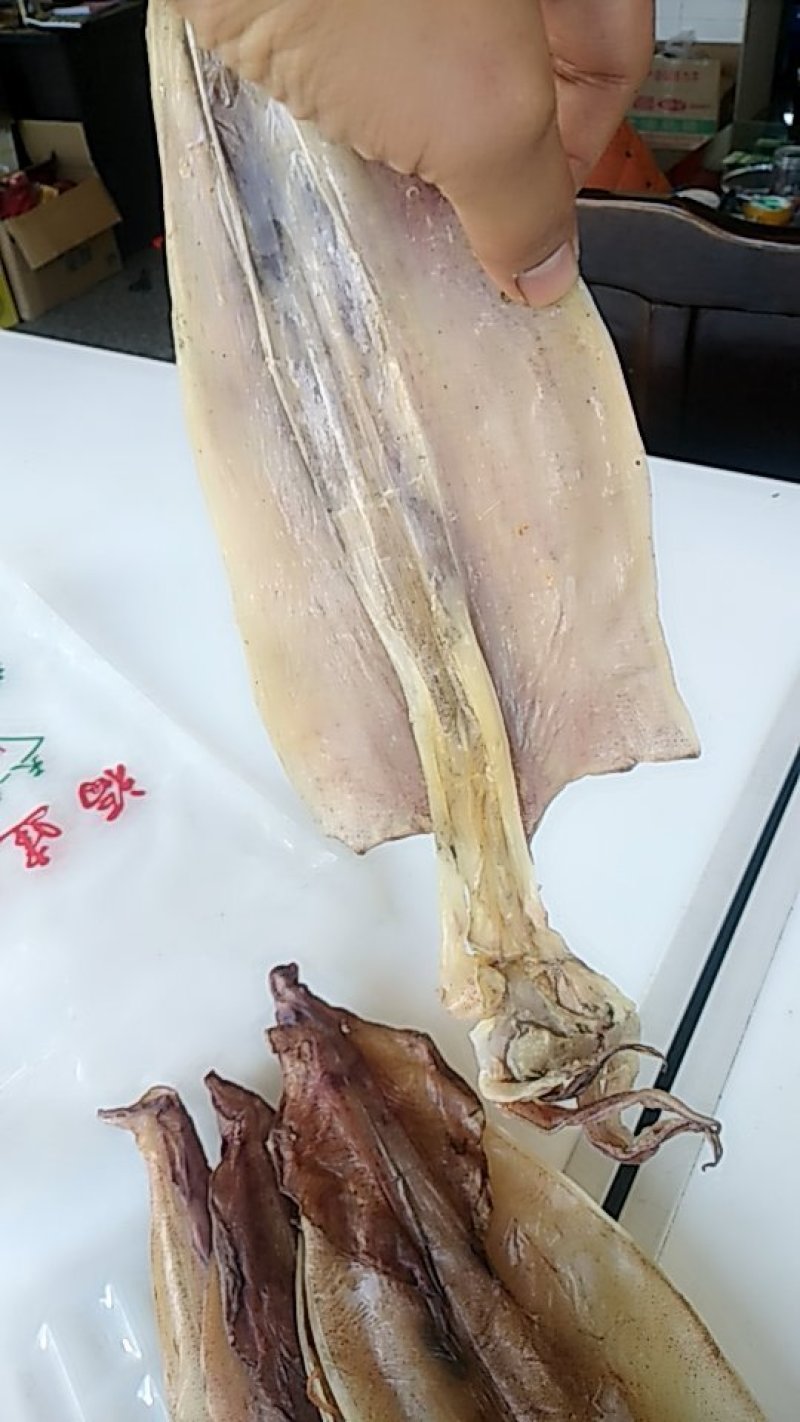 特大鱿鱼