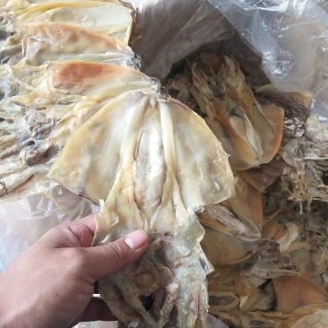 墨鱼干。一包净重400克