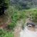 四川活猪黑猪3000亩山地放养生态猪大量供应