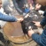 四川活猪黑猪3000亩山地放养生态猪大量供应