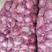 精品紫皮洋葱长年大量供应按要求配货稳定货源量大从优