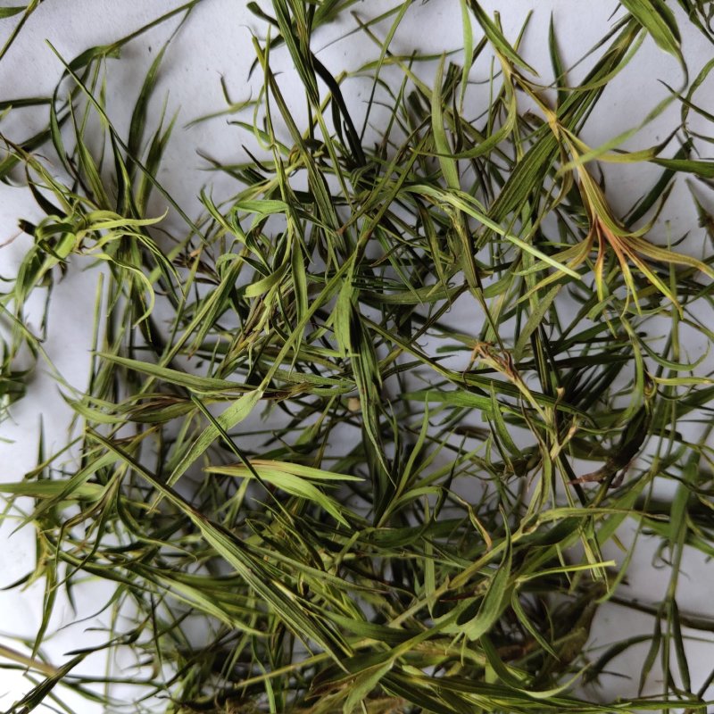 竹叶选关书药业批发中药材花果茶