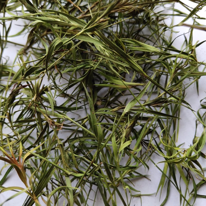 竹叶选关书药业批发中药材花果茶