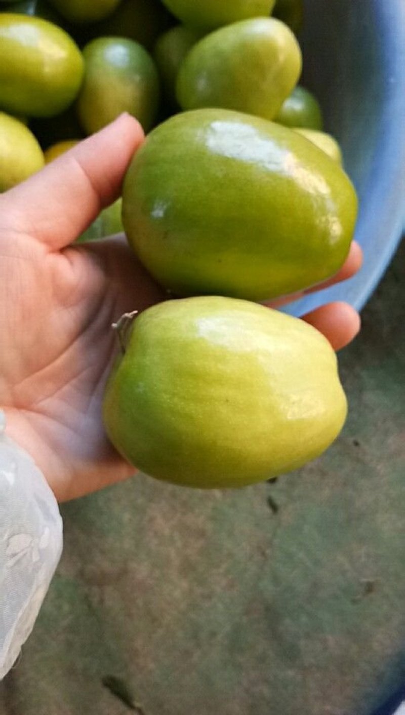 青枣