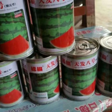 西瓜种子，
