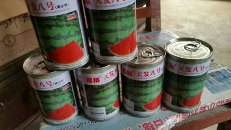 西瓜种子，