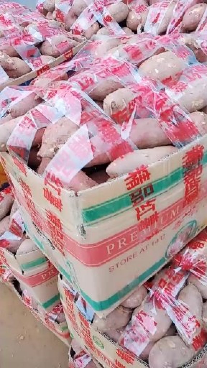苏八精品