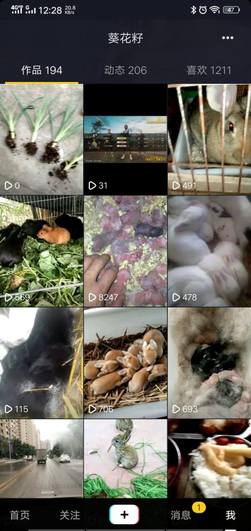 麻辣兔腿