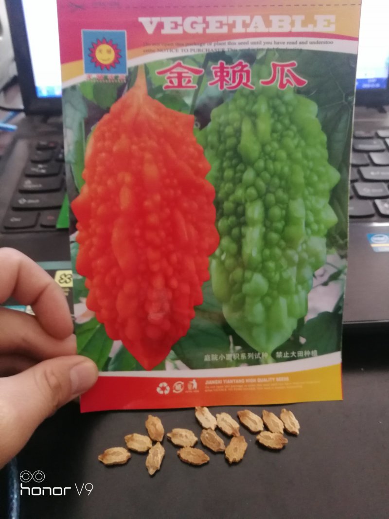 【精选】金濑瓜甜瓜种子老品种口感好赖葡萄