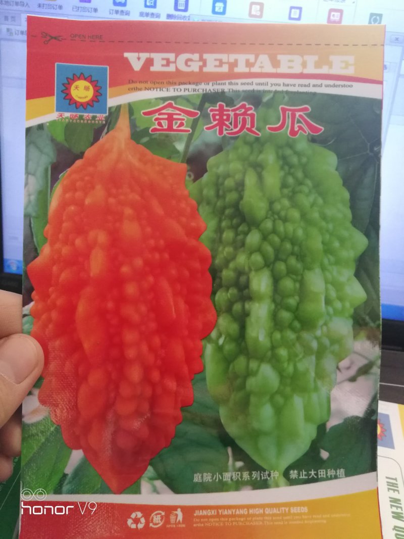 【精选】金濑瓜甜瓜种子老品种口感好赖葡萄