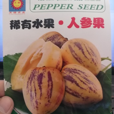 【精选】人参果甜瓜种子稀有水果种子适合温室种植