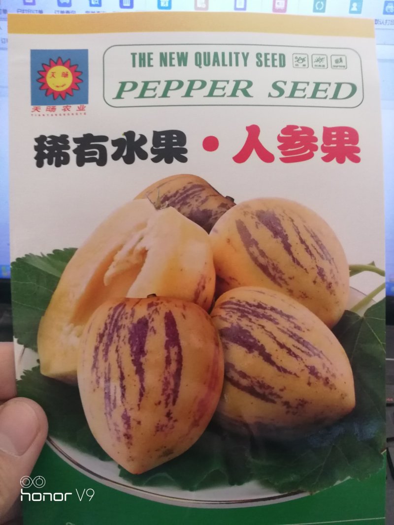 【精选】人参果甜瓜种子稀有水果种子适合温室种植
