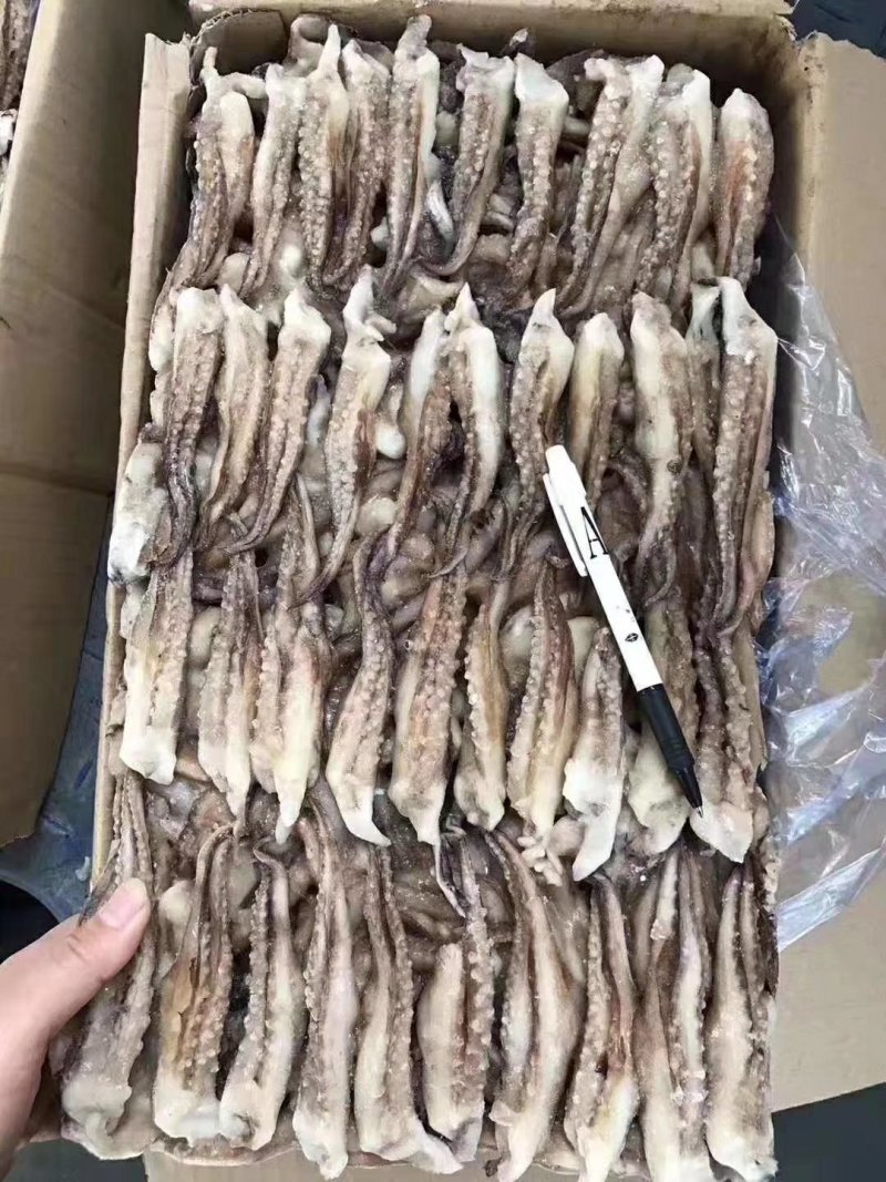 鱿鱼食用冰冻二本足鱿鱼须厂子直销产品