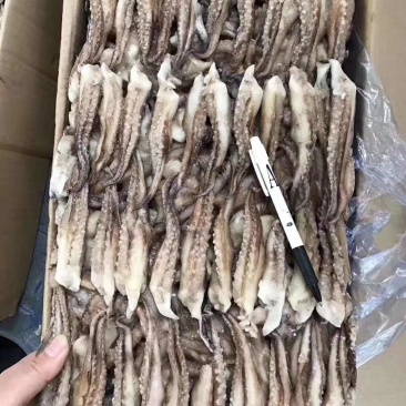 鱿鱼食用冰冻二本足鱿鱼须厂子直销产品