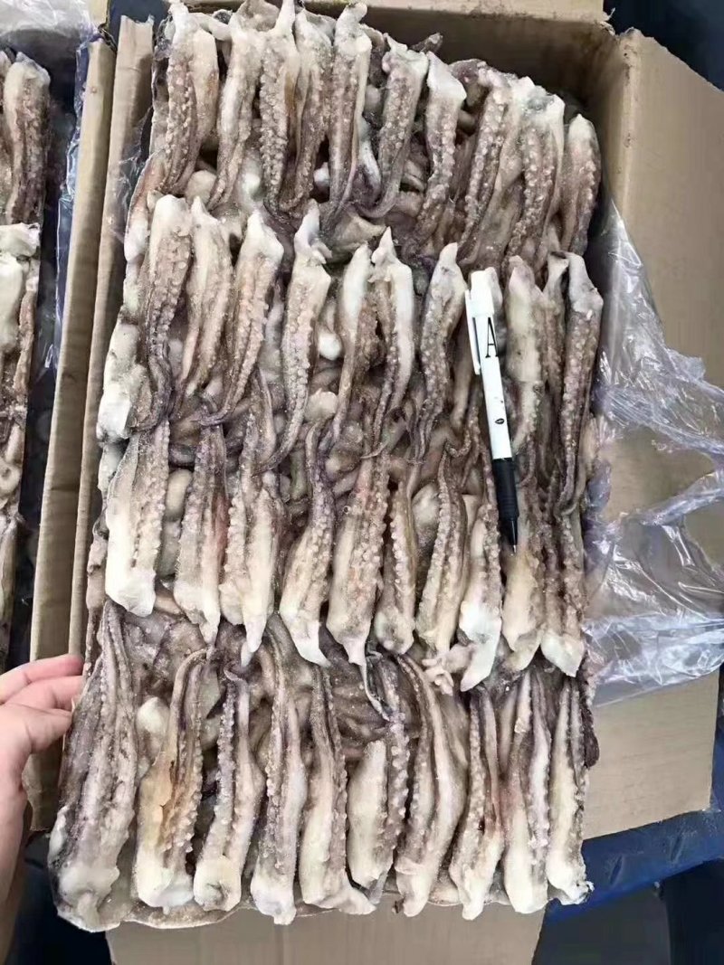 鱿鱼食用冰冻二本足鱿鱼须厂子直销产品