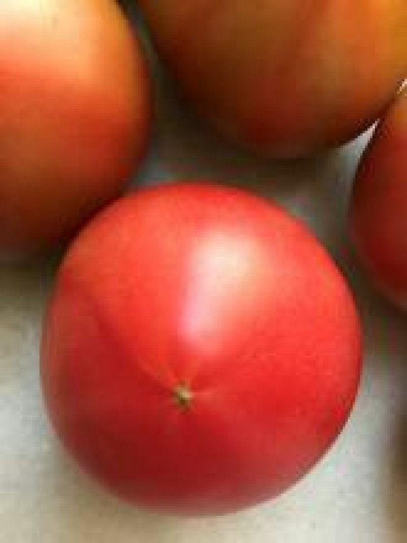 新鲜铁皮西红柿子，5斤装