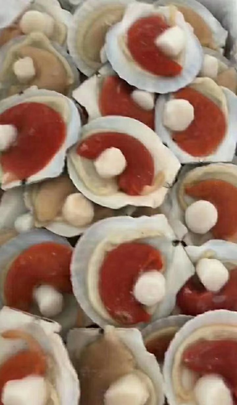 虾夷扇贝食用冰冻5~10只/kg