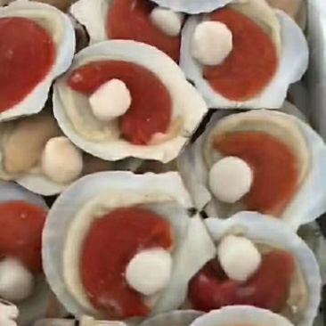 虾夷扇贝食用冰冻5~10只/kg
