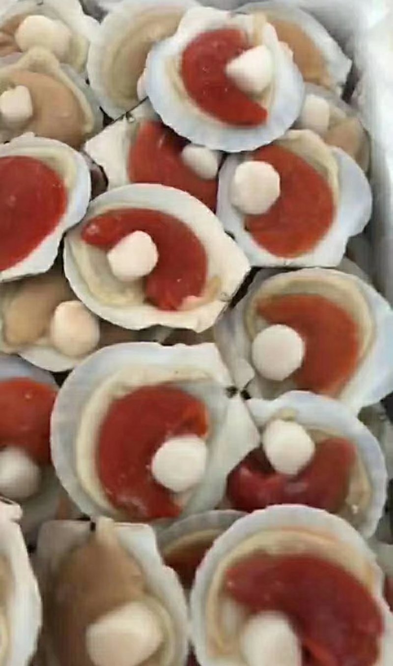 虾夷扇贝食用冰冻5~10只/kg