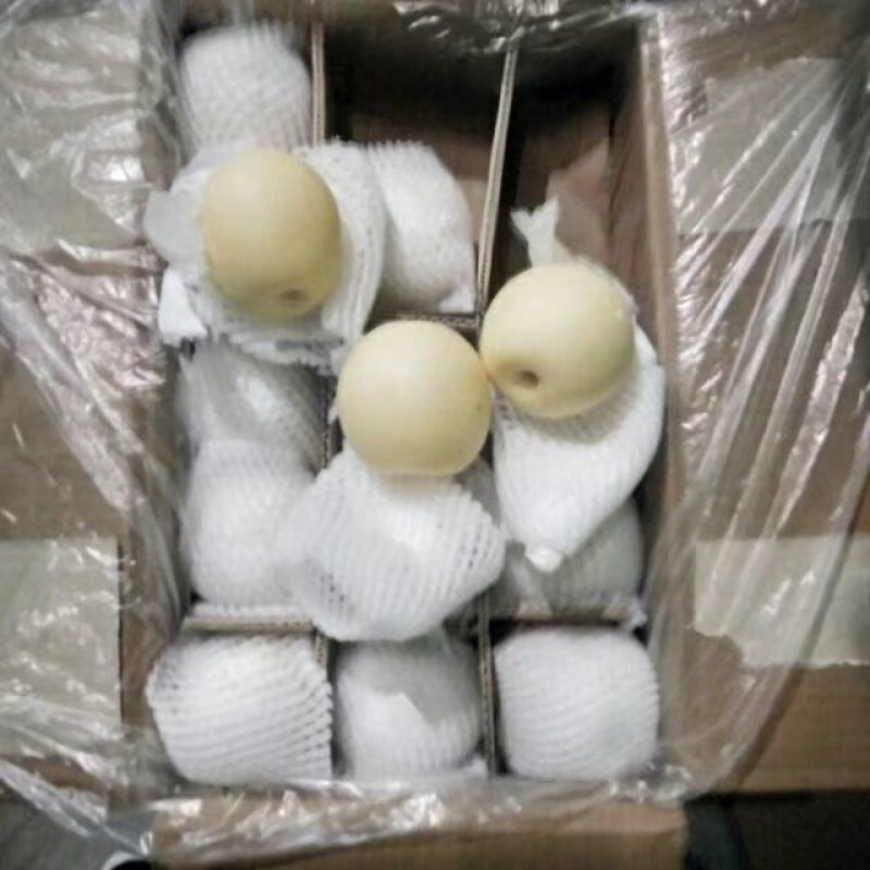 皇冠梨精品皇冠