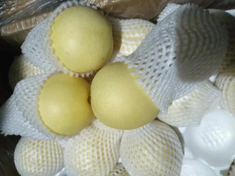 皇冠梨精品皇冠
