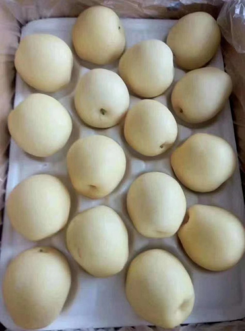 皇冠梨精品皇冠