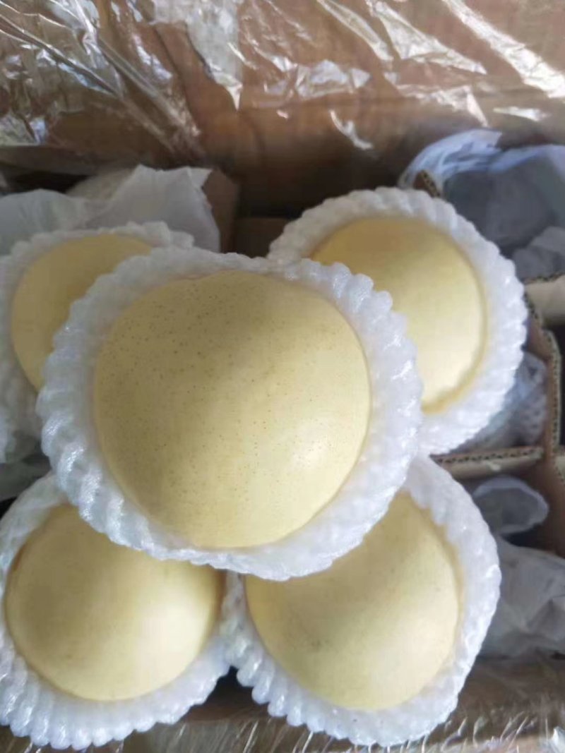 皇冠梨精品皇冠