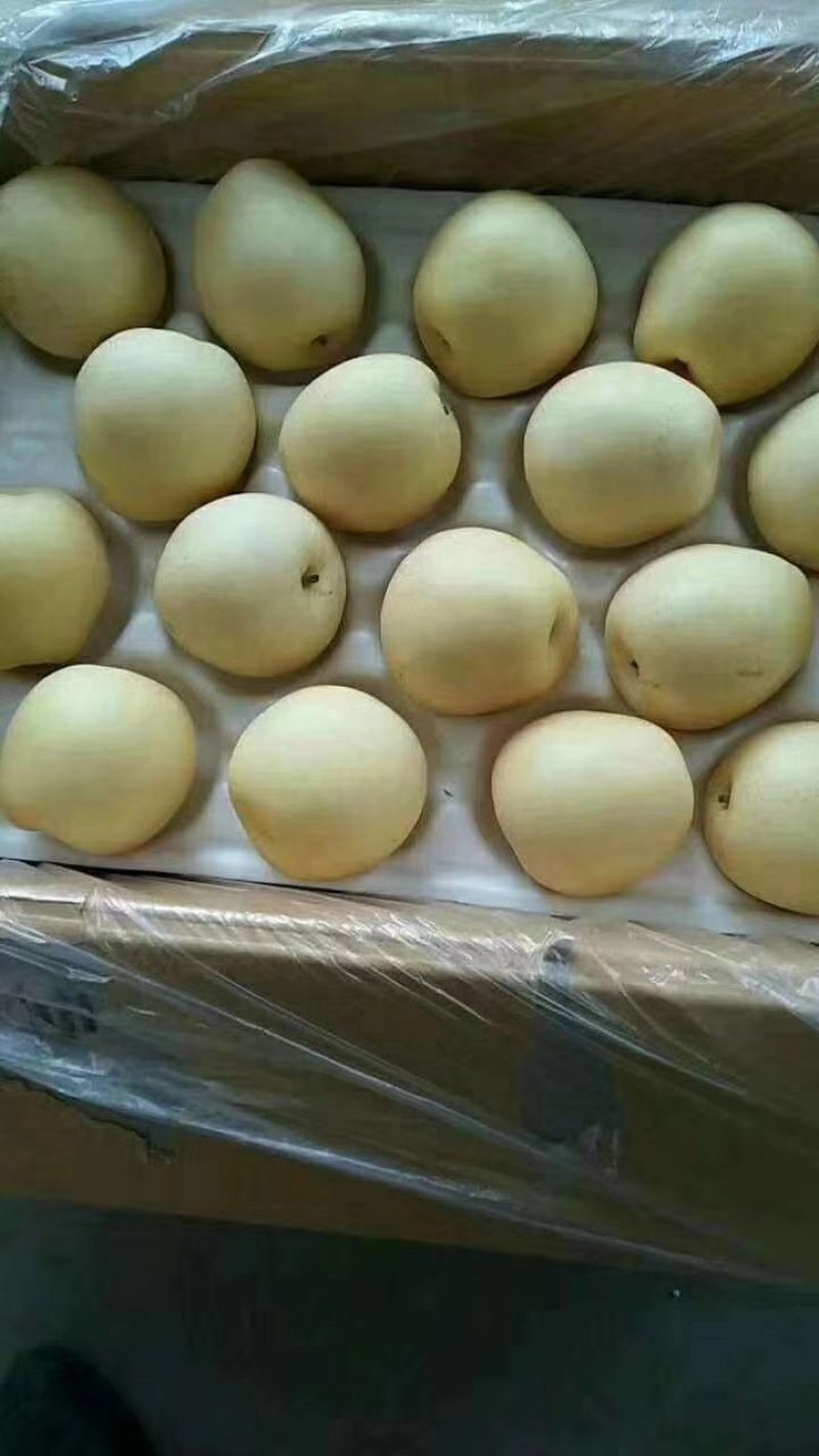 皇冠梨精品皇冠