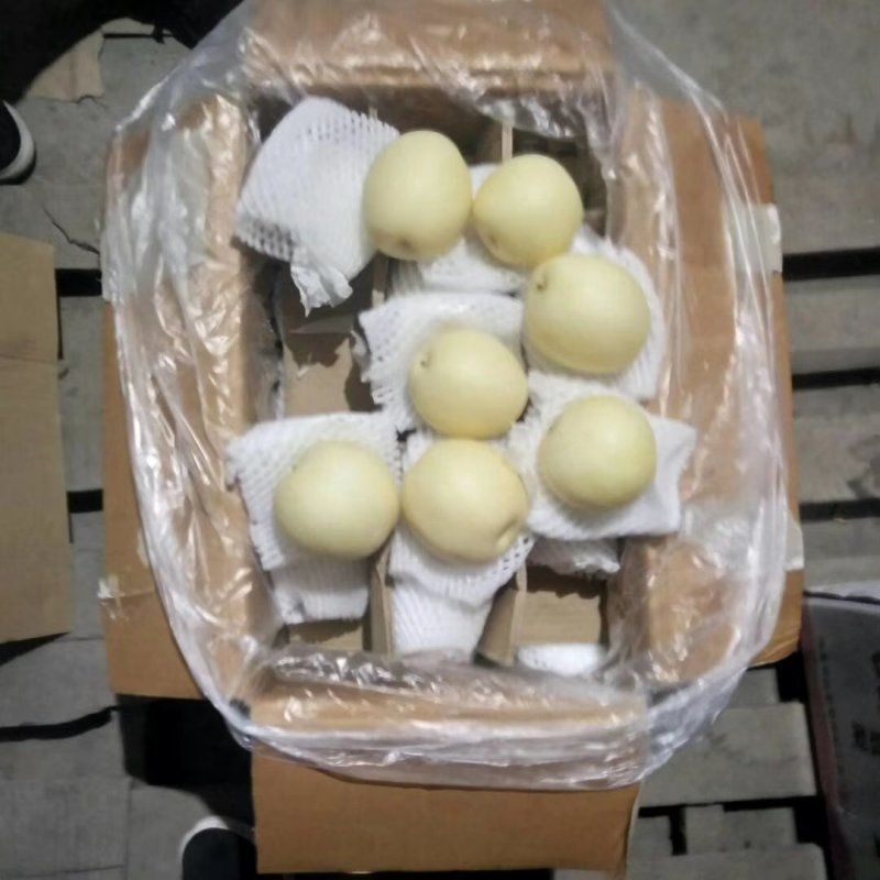 皇冠梨精品皇冠