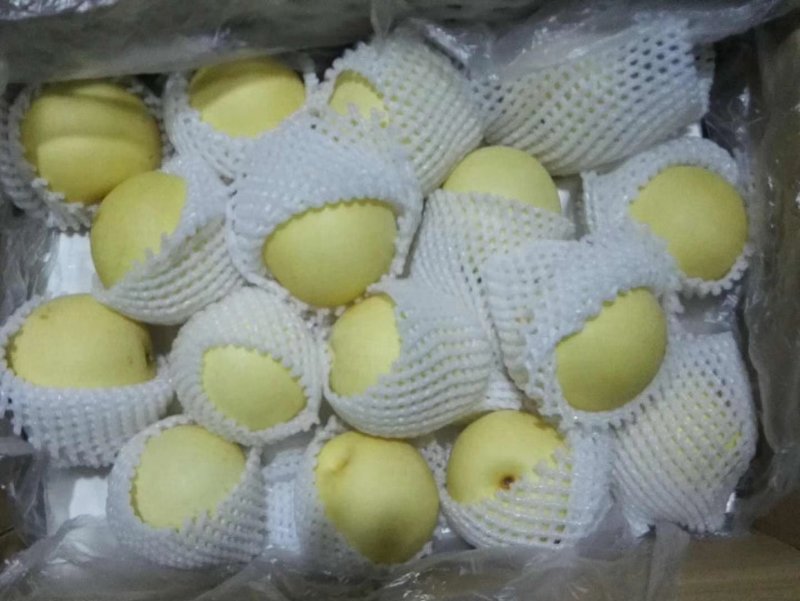 皇冠梨精品皇冠