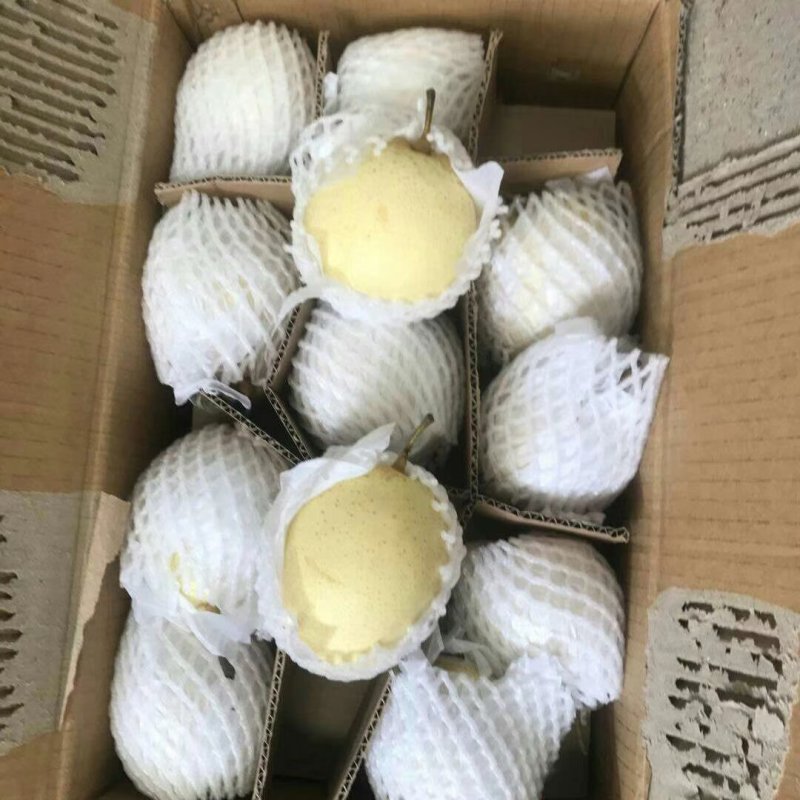 皇冠梨精品皇冠