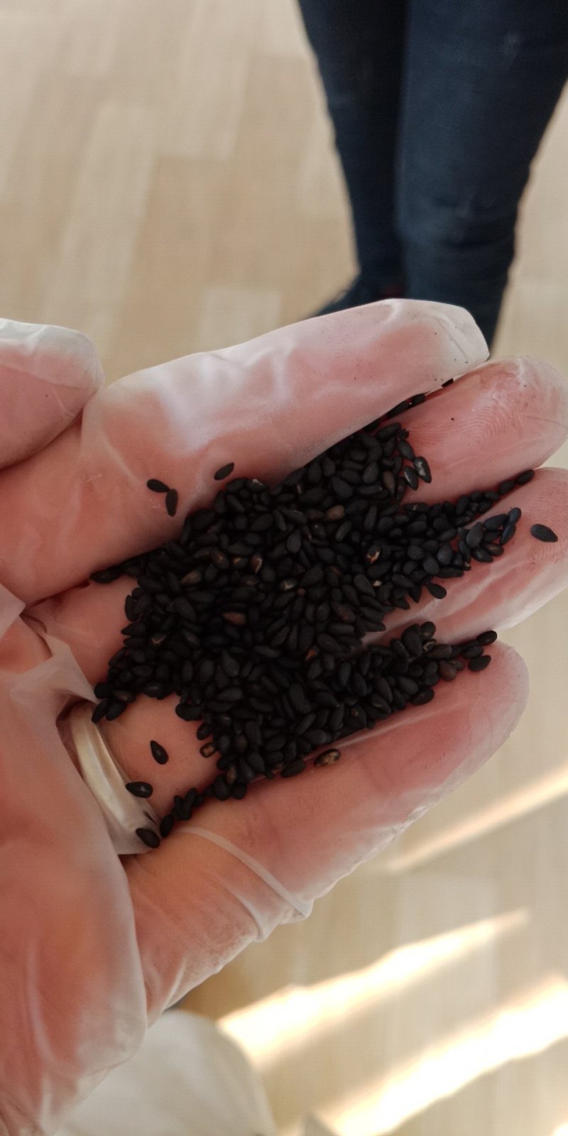 黑芝麻可食用小黑芝麻批发零售各种规格中药材
