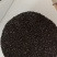 黑芝麻可食用小黑芝麻批发零售各种规格中药材
