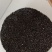 黑芝麻可食用小黑芝麻批发零售各种规格中药材