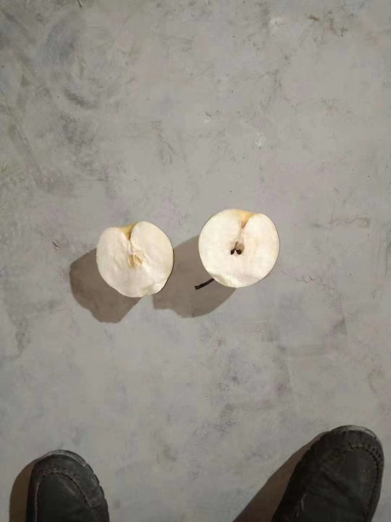 雪花梨过手货无黑心无坏梨