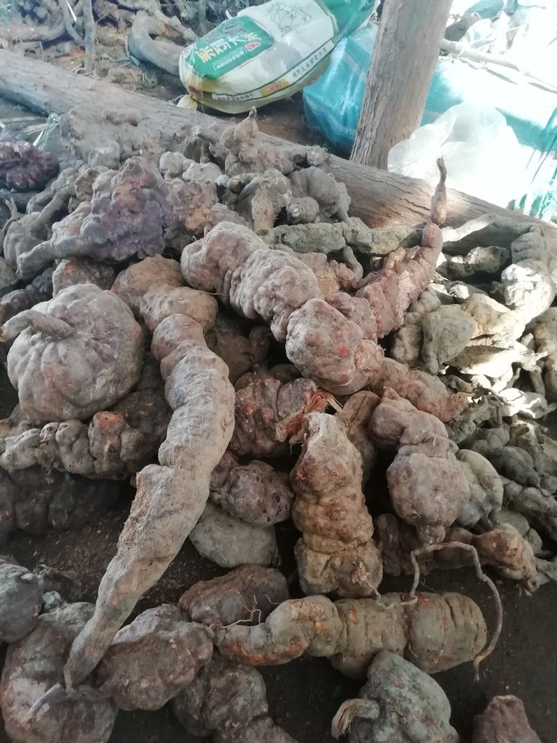 大量，批发零售野生的何首乌22222222