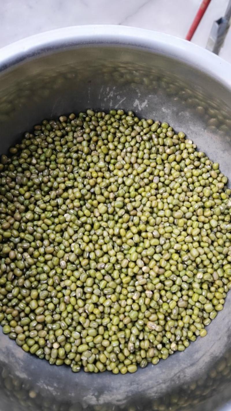 东北明绿豆，中等颗粒大小3.5到4.2颗粒大小