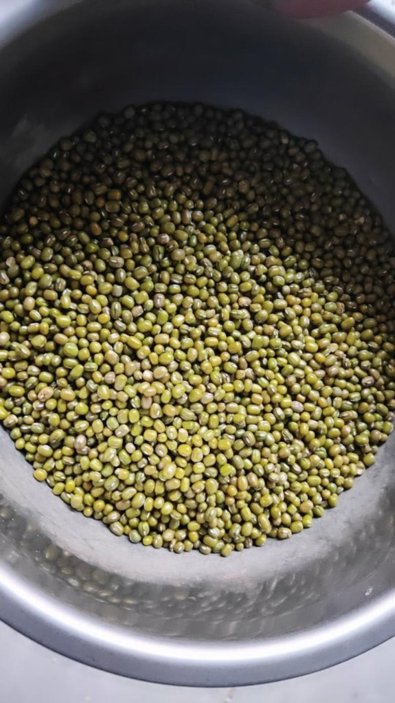 东北明绿豆，中等颗粒大小3.5到4.2颗粒大小