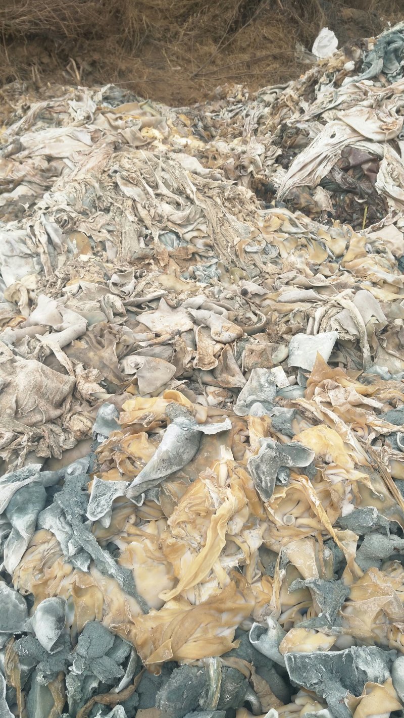 牛皮