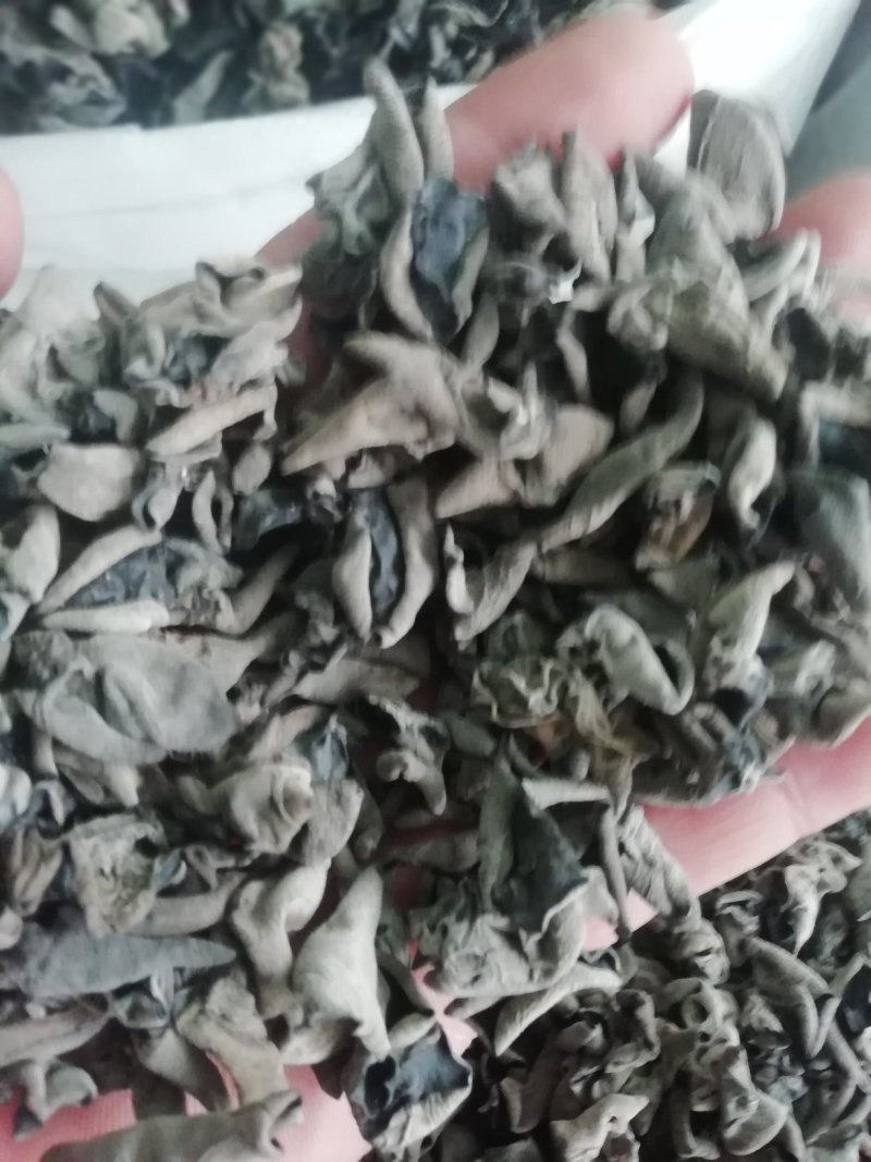 木耳大料