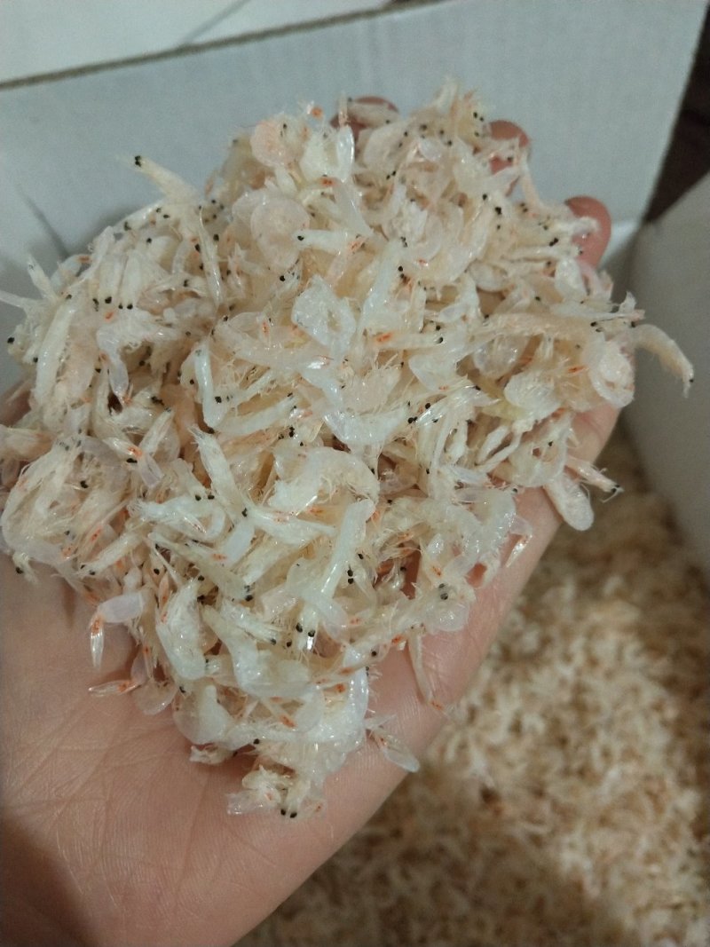 一级无盐虾皮