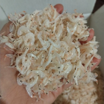 一级无盐虾皮