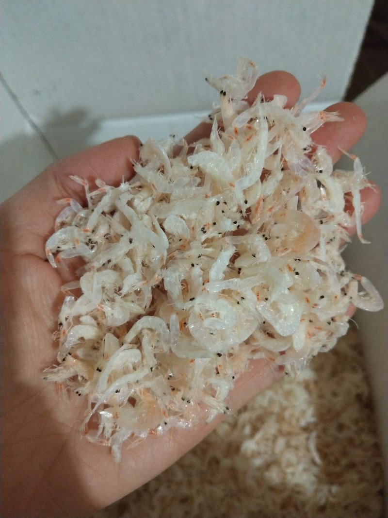 一级无盐虾皮