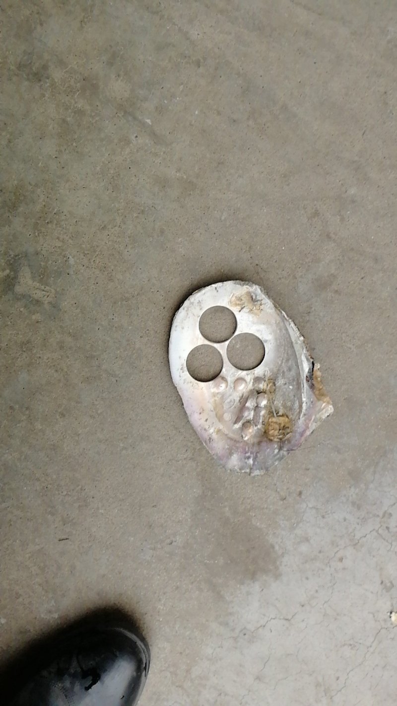 河蚌壳