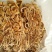 特级广昌开伞茶树菇仿野生包邮