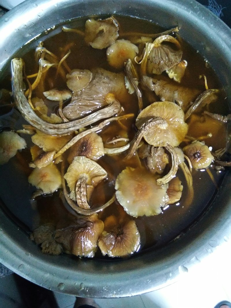 特级广昌开伞茶树菇仿野生包邮