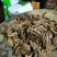 特级广昌开伞茶树菇仿野生包邮
